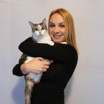 Photo by VOKRA - Vancouver Orphan Kitten Rescue Association (@VOKRAtweets)