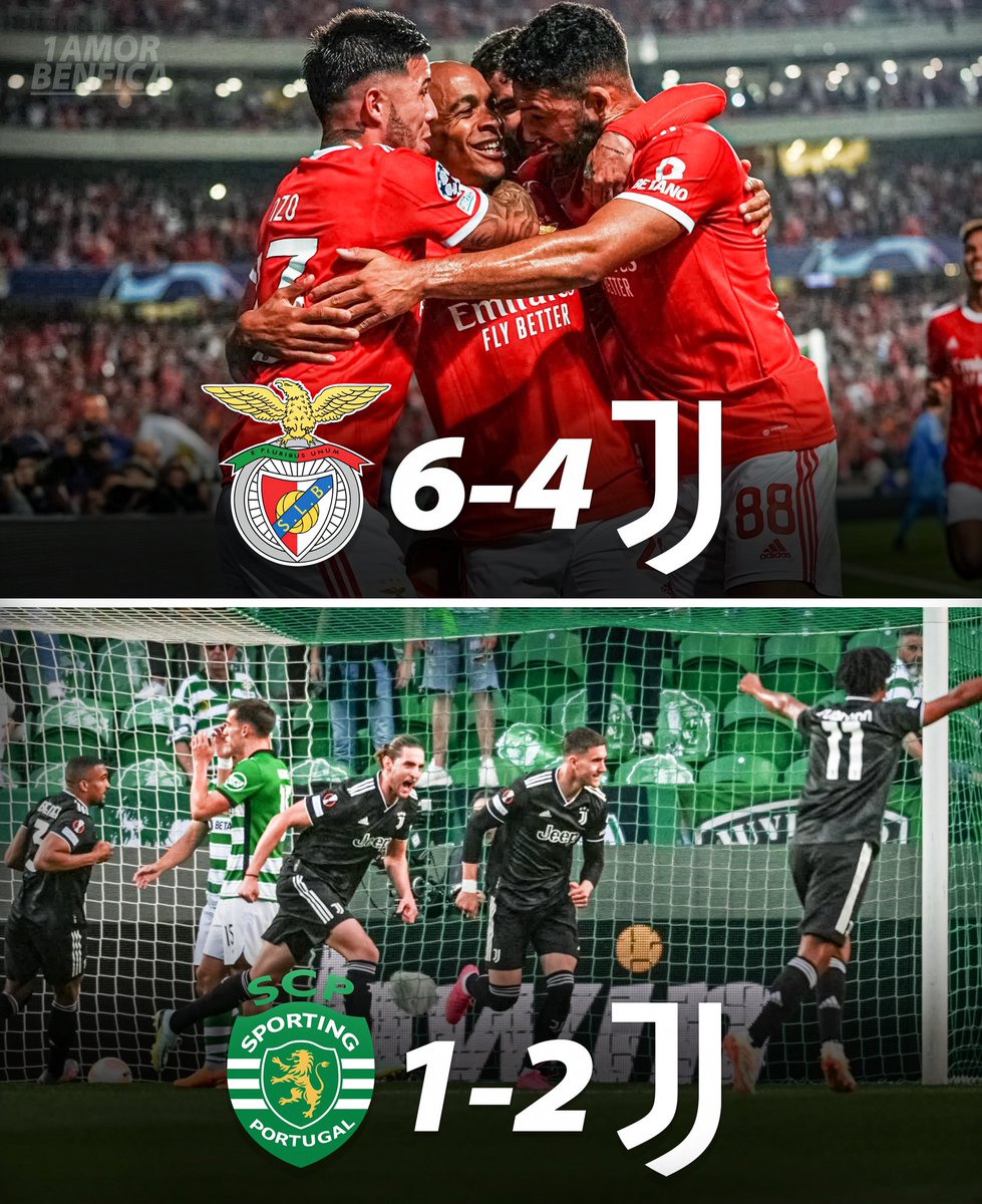 Primeiro Amor Benfica tweet media