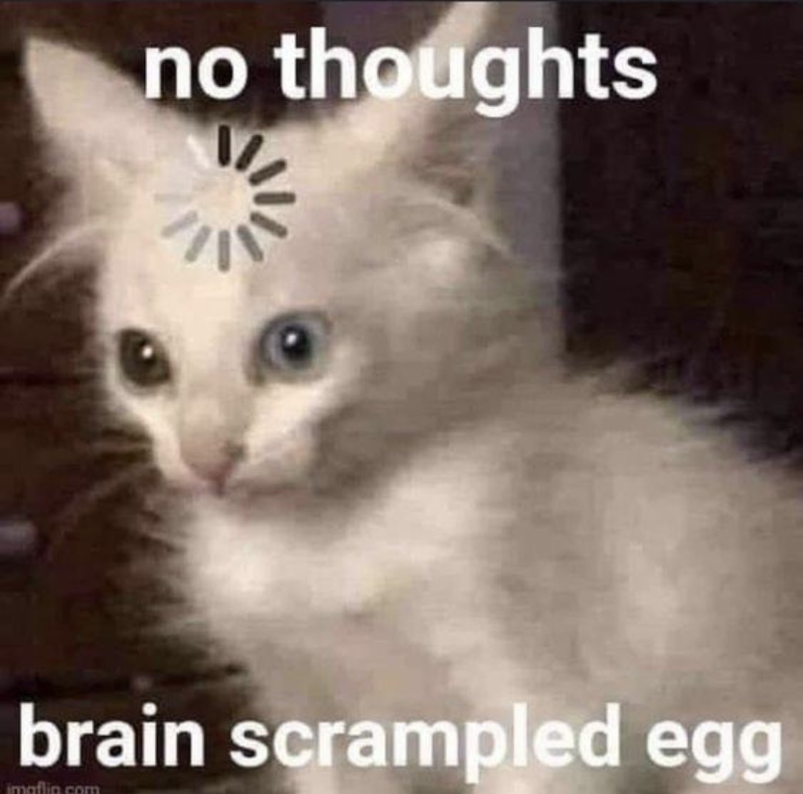treelapse's tweet photo. hi i’m sorry if anyone has noticed my absence, @ moots i genuinely miss u guys sm but i’ve been too emotionally drained to come on twt lately :( i hope u guys are doing well tho &amp; hopefully i’ll be back on here soon <3 https://t.co/joQX6yf7l7