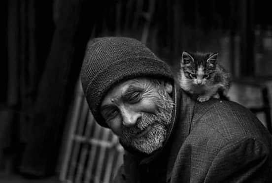 ''Güzel bir gülüş, karanlık bir eve giren, güneş ışığına benzer.''

Tolstoy