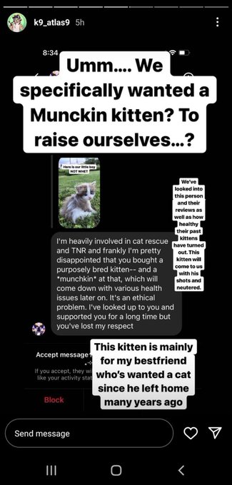 I would like to mention this insta sorry I made before we got our kitten. I was misinformed and assumed