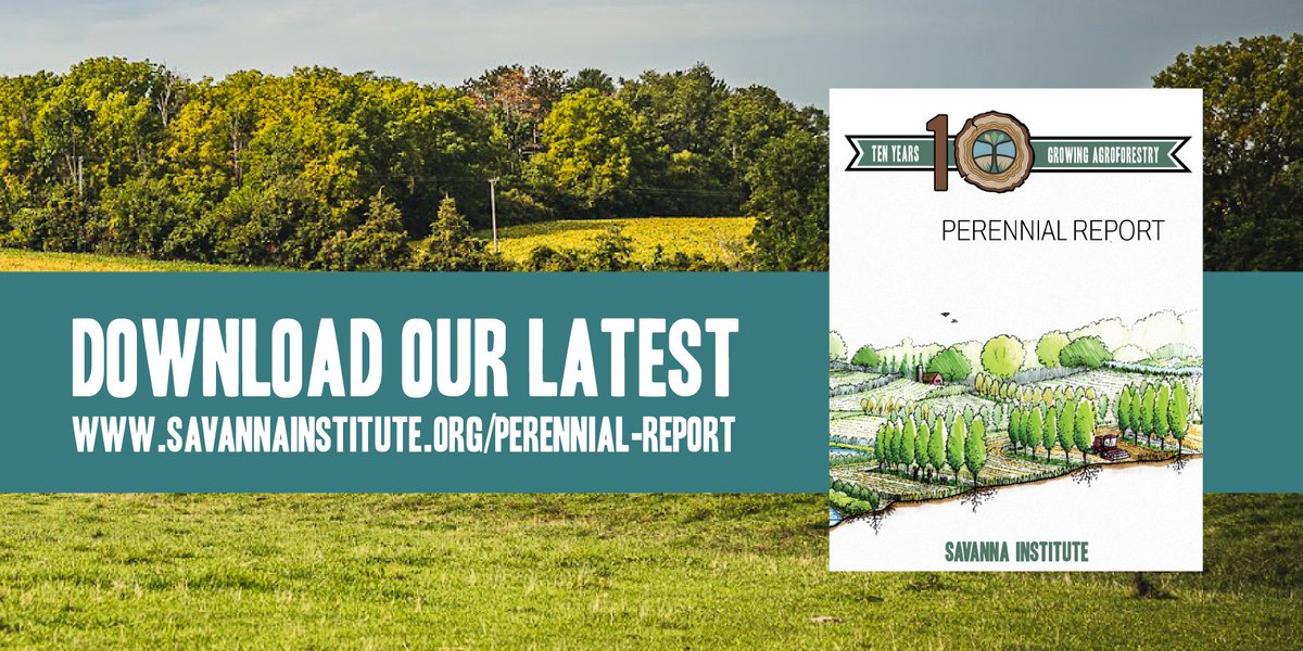 View our 10-year Perennial Report: savannainstitute.org/perennial-repo…

This year’s Perennial Report is a retrospective on the Savanna Institute and our last decade’s worth of efforts to lay the groundwork for widespread agroforestry. Thank you to everyone who helped us grow along the way!