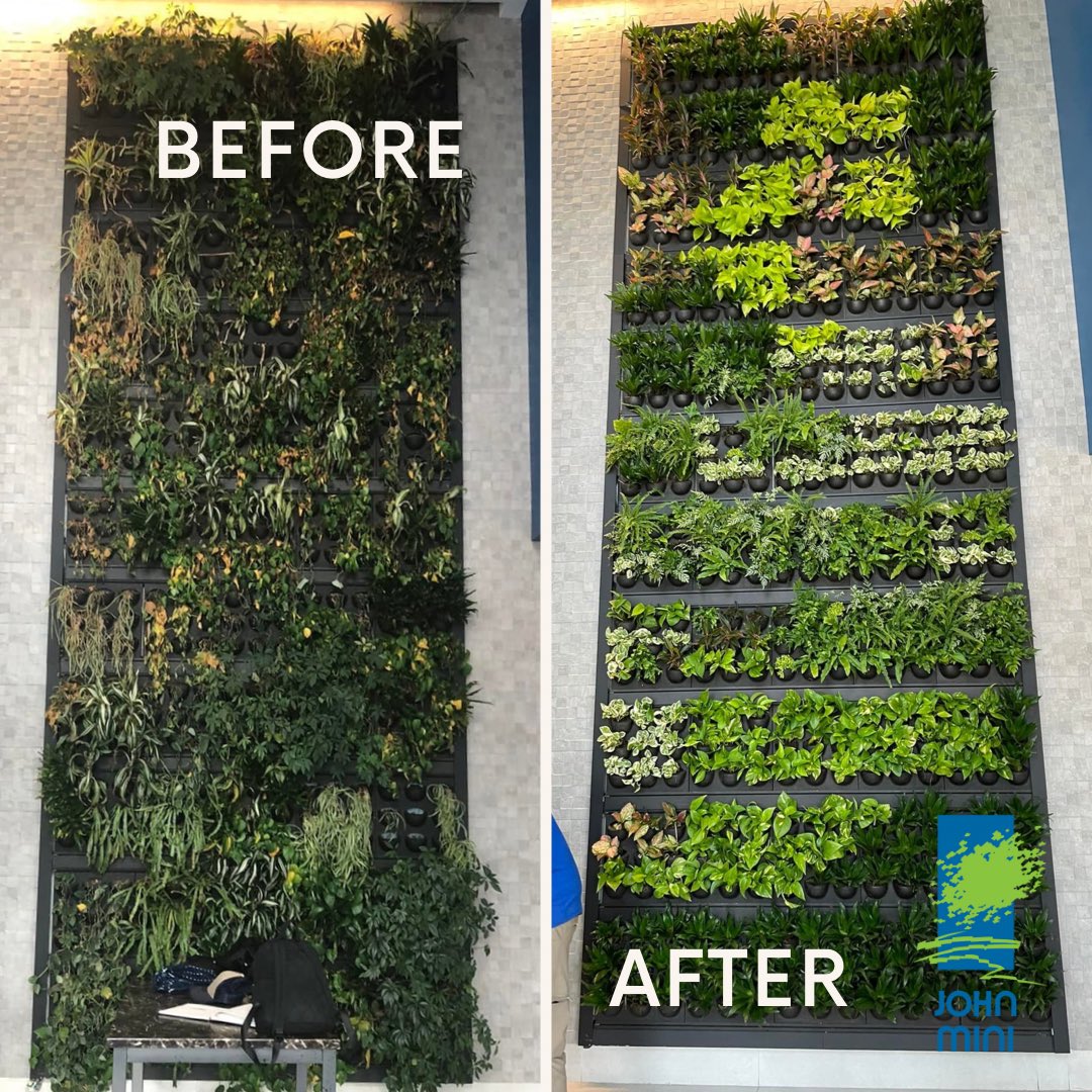 JMDLandscapes's tweet photo. Wow. Check out this amazing work by @jmdlandscapes Indoor Team… 😍
——-
#team #work #johnmini #livingwalls #interiordesign #plants #greenbusiness https://t.co/un3Da3IstU