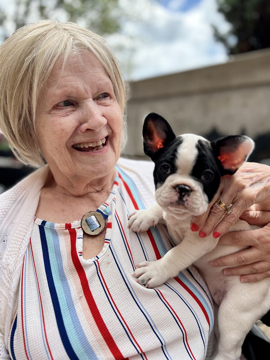 RiverTerraceHC's tweet photo. Meet the newest member of the River Terrace team… Peppa the French-ton says bonjour 🐾🇫🇷
Nothing makes a person smile quite like a sweet little puppy does! https://t.co/7waCxlsnPu