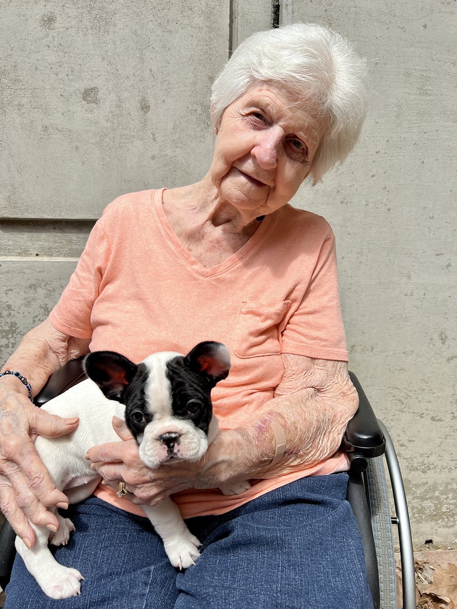 RiverTerraceHC's tweet photo. Meet the newest member of the River Terrace team… Peppa the French-ton says bonjour 🐾🇫🇷
Nothing makes a person smile quite like a sweet little puppy does! https://t.co/7waCxlsnPu