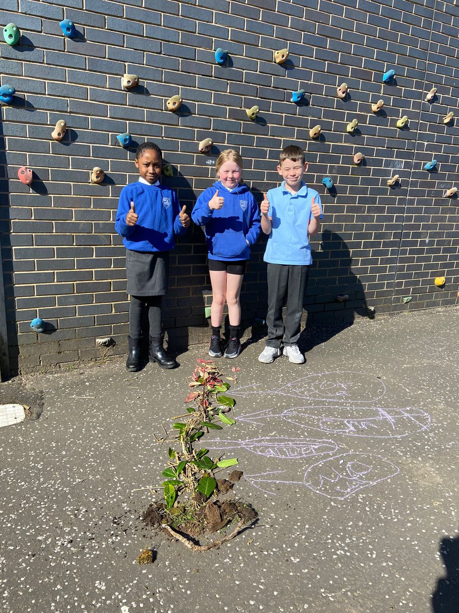 KingsOakSchool's tweet photo. Primary 4 have been learning about the layers of the Amazon Rainforest. We brought our learning to life today outdoors by creating our own rainforest diagrams…R, C and I even created a 3D model! Miss Irvine is so impressed with the creativity of this bunch 🌼🌳#KingsOakP4 https://t.co/QBCxixysqW