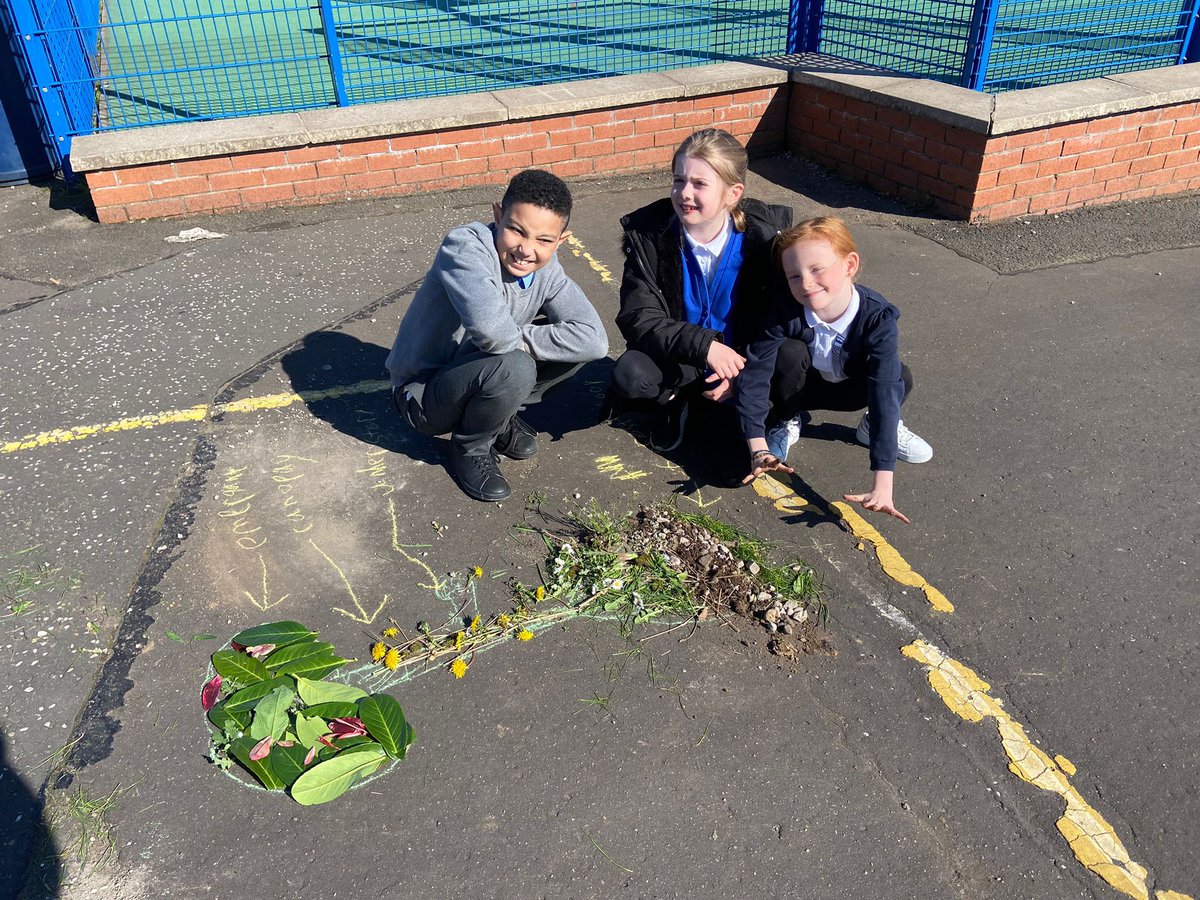 KingsOakSchool's tweet photo. Primary 4 have been learning about the layers of the Amazon Rainforest. We brought our learning to life today outdoors by creating our own rainforest diagrams…R, C and I even created a 3D model! Miss Irvine is so impressed with the creativity of this bunch 🌼🌳#KingsOakP4 https://t.co/QBCxixysqW