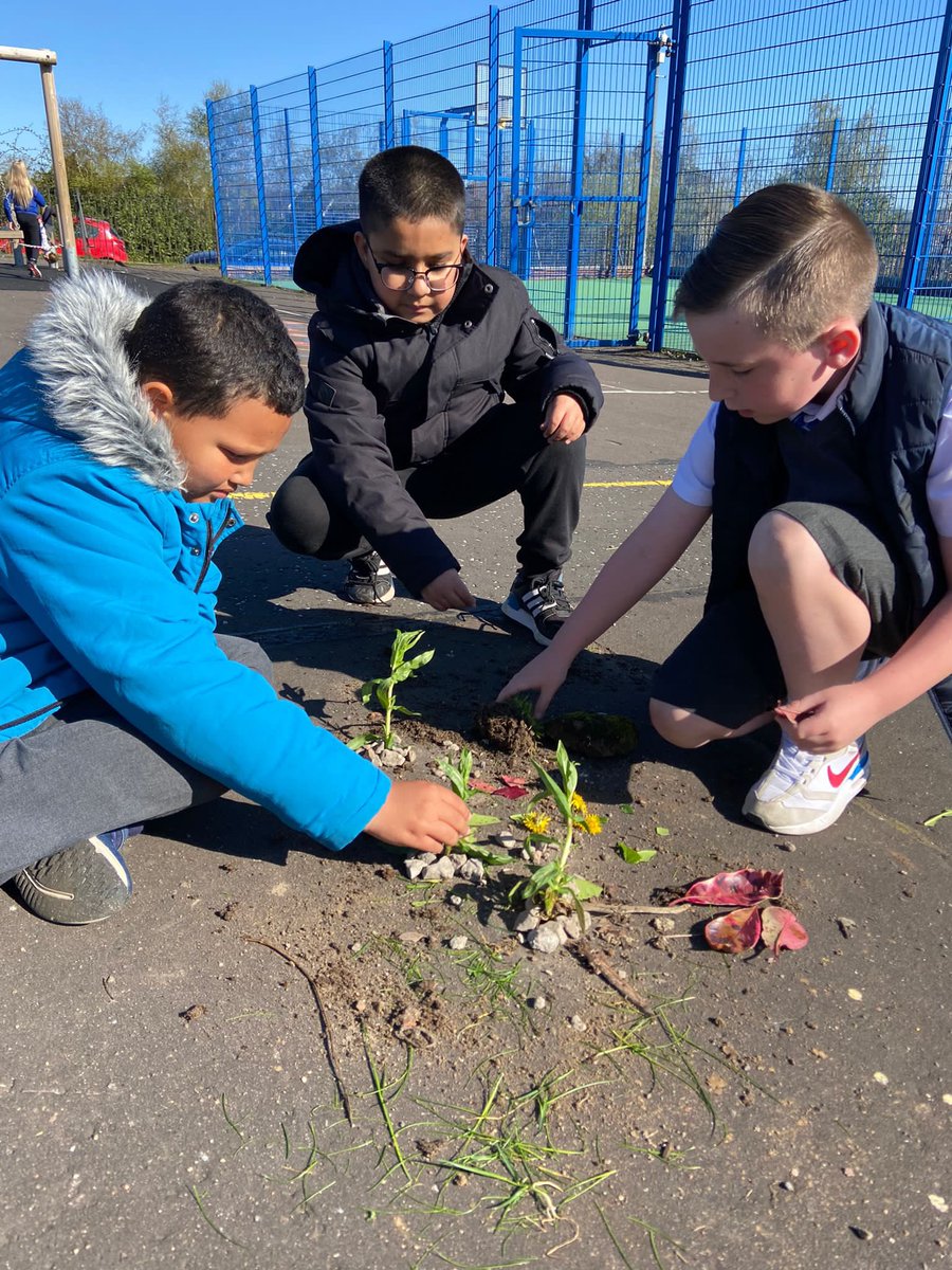 KingsOakSchool's tweet photo. Primary 4 have been learning about the layers of the Amazon Rainforest. We brought our learning to life today outdoors by creating our own rainforest diagrams…R, C and I even created a 3D model! Miss Irvine is so impressed with the creativity of this bunch 🌼🌳#KingsOakP4 https://t.co/QBCxixysqW
