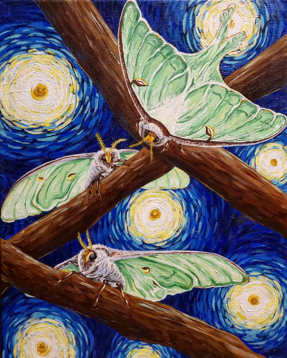 rlphscholarship's tweet photo. We are excited to announce our scholarship winner from Wisconsin Lutheran College is Sydni Haubrich‼️

Check out 👀some her work below 🖼️🎨⬇️

#rlphscholarship #art #artstudent #giveback @InsideWLC https://t.co/wZbALolNcW