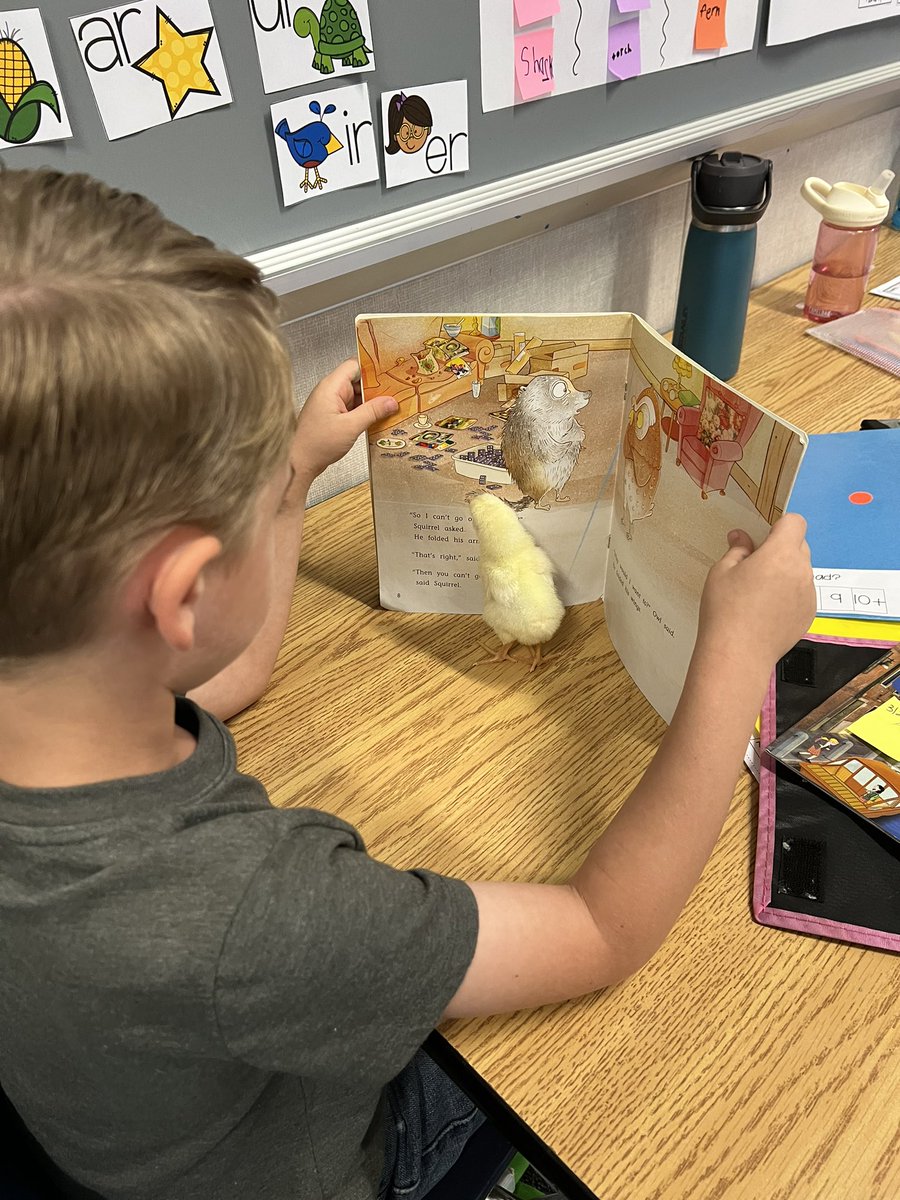 FPE1stGrade's tweet photo. Just trying to teach our chicks to read before they leave tomorrow! 🐣📚 https://t.co/k0S87NcfLT