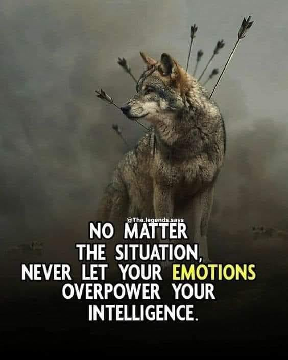 pearldechalain's tweet photo. @PaulOMahony #PositiveVibes #PositiveEnergy https://t.co/YUXNYVfnP7