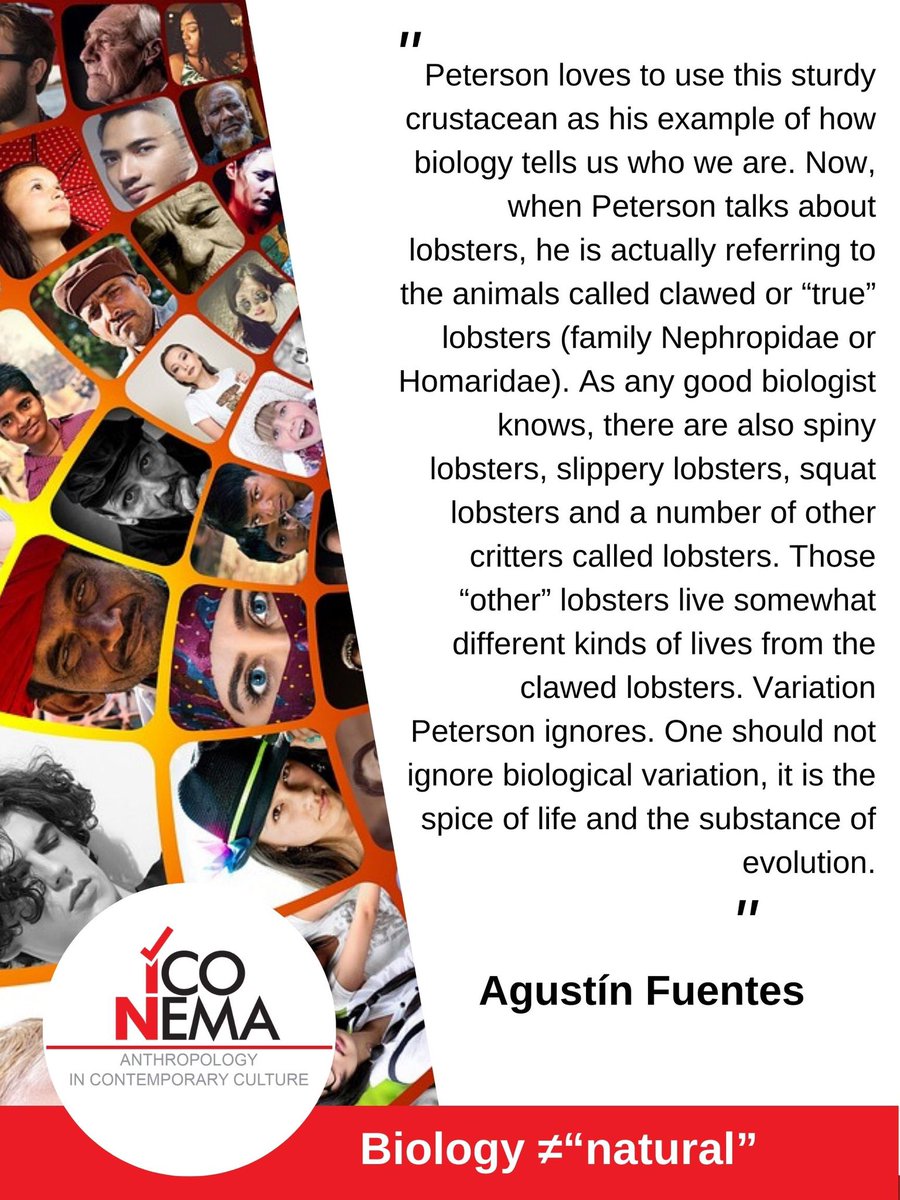 RevistaIconema's tweet photo. Biology ≠ “natural”. By @Anthrofuentes https://t.co/au8CbTgQ42 #Anthropology #Biology #HumanNature #Lobsters #Evolution #BiologicalVariation https://t.co/r5SdhEOrU0