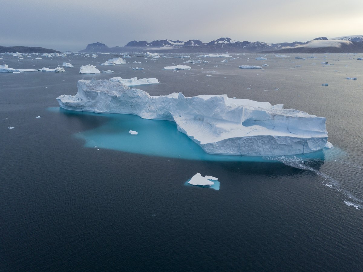 _AGrimm's tweet image. Icebergs remind us of the ephemeral nature of all things. Greenland ~♡

#ThePhotoHour #NaturePhotography