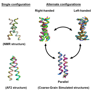 SouzaPauloCT's tweet photo. Nice to finally have this work out! Another nice collaboration with Matthias Buck and Amita Sahoo. published at @Structure_CP. Take a look here:
https://t.co/Md1VZdonoZ
#CoarseGrained #Martini3 #MDsimulations #AlphaFoldMultimer #TM_Peptides https://t.co/cm7nUfYl0g