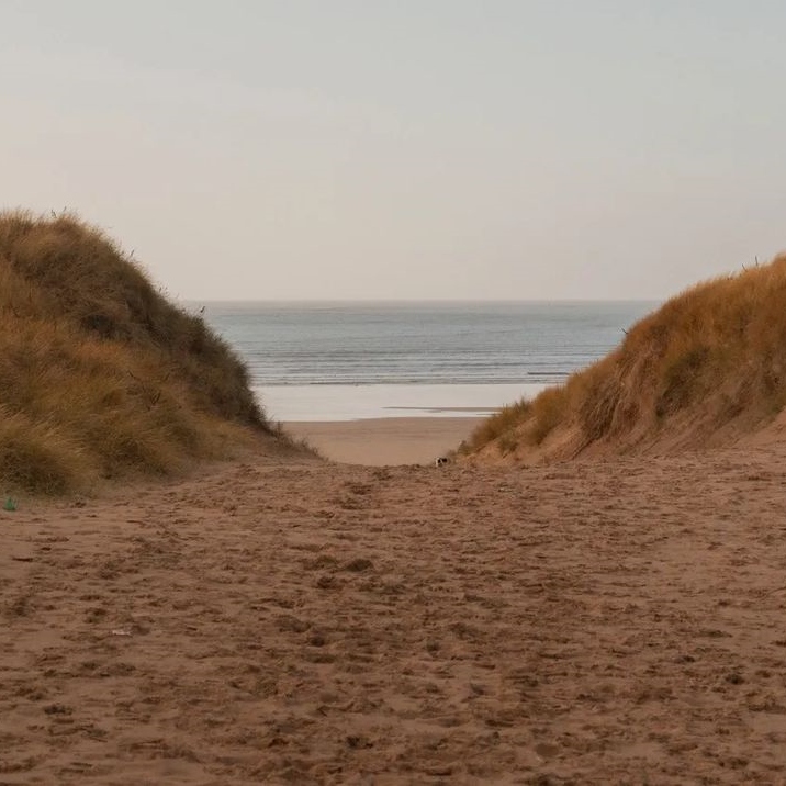 The Great British Garden Festival tweet media