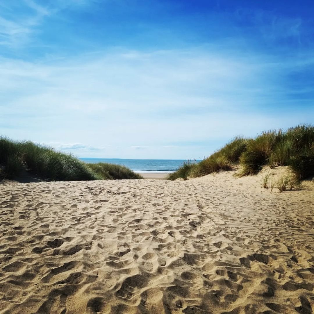 The Great British Garden Festival tweet media