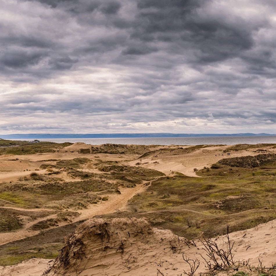 The Great British Garden Festival tweet media
