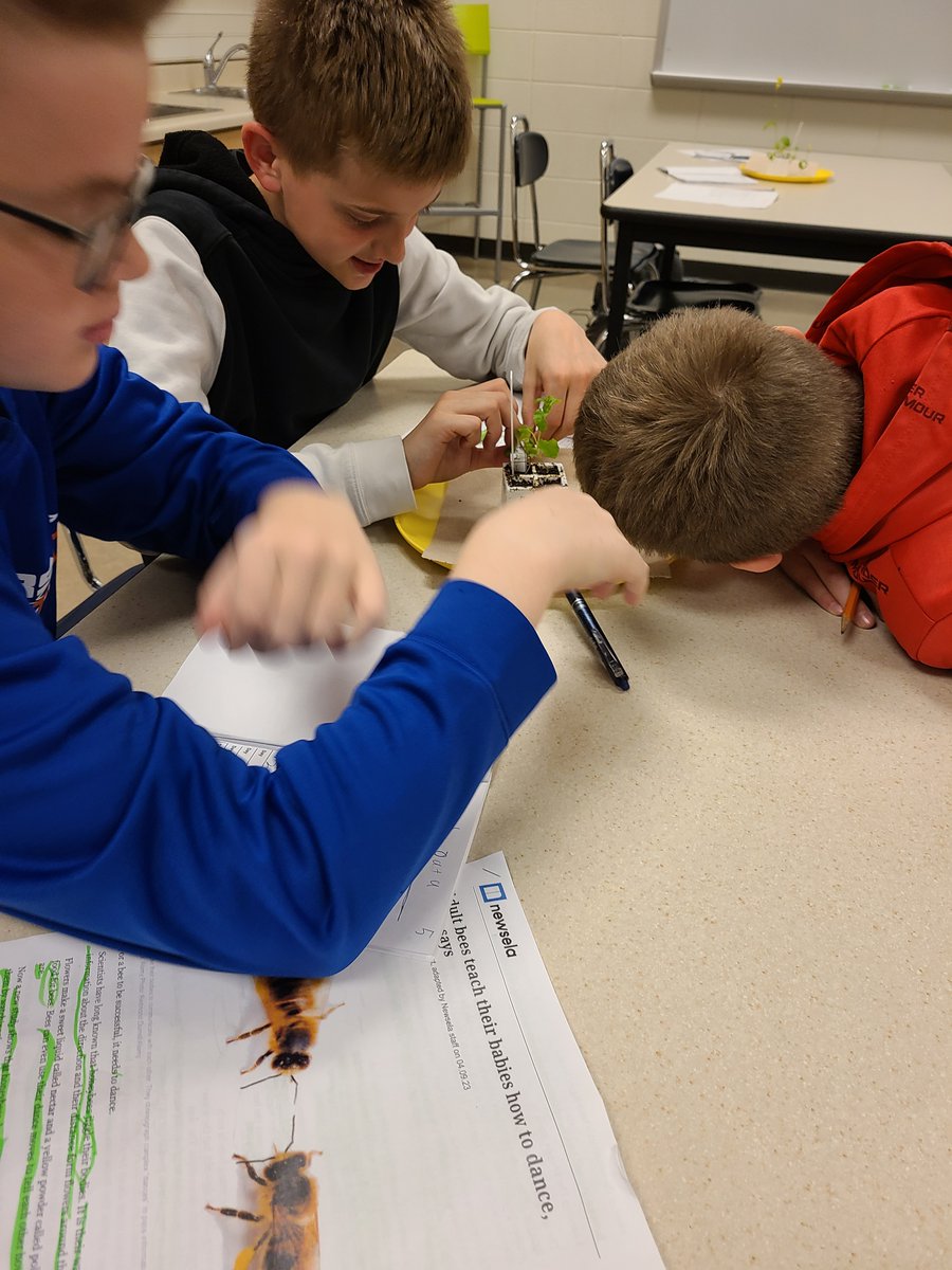 Sioux Center CSD (Kinsey and Intermediate) tweet media