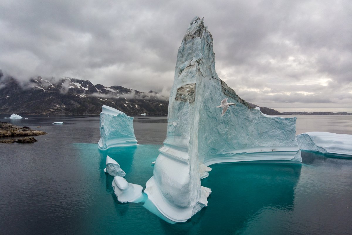 _AGrimm's tweet image. Icebergs remind us of the ephemeral nature of all things. Greenland ~♡

#ThePhotoHour #NaturePhotography