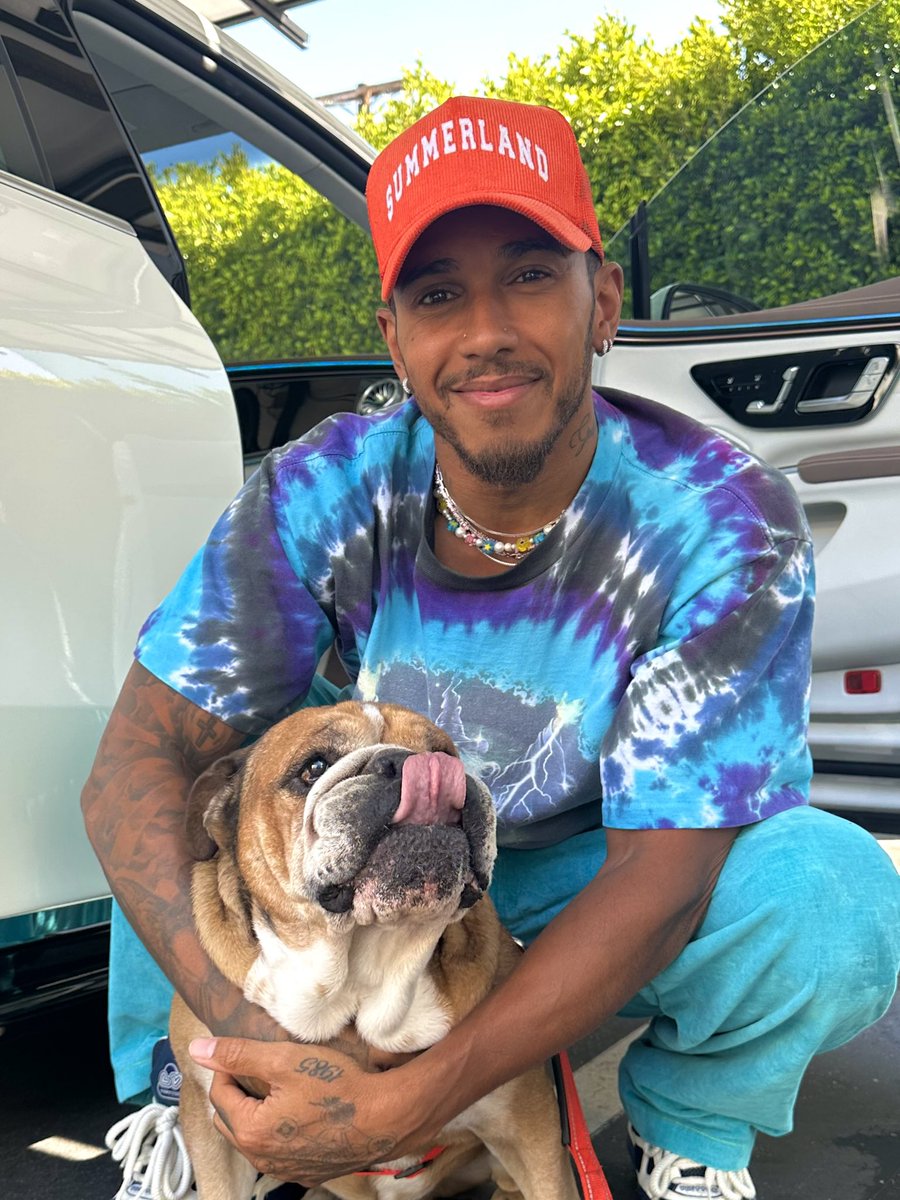 LewisHamilton's tweet photo. Roscoe says hi https://t.co/686sEnPq3Z