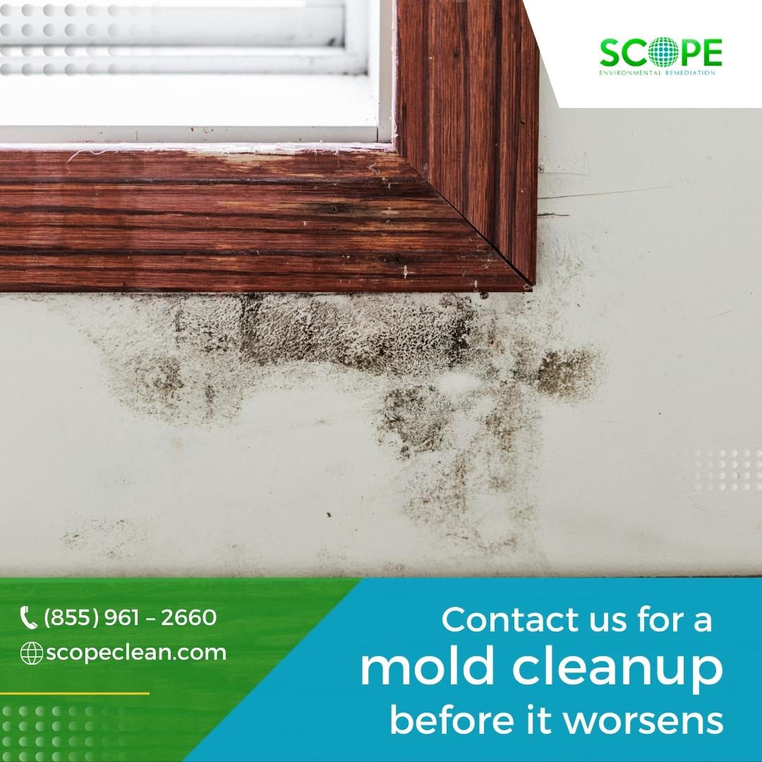 clean_scope's tweet photo. We offer top-notch mold and black mold removal to keep our customers and their properties safe
Contact us today!
📞(855) 961 – 2660
🌐https://t.co/COk0DnCEny

#waterdamage #mold #moldremediation #restoration #moldremoval #flooddamage #propertydamage #molddamage #remediation https://t.co/fvnSwMe2GS