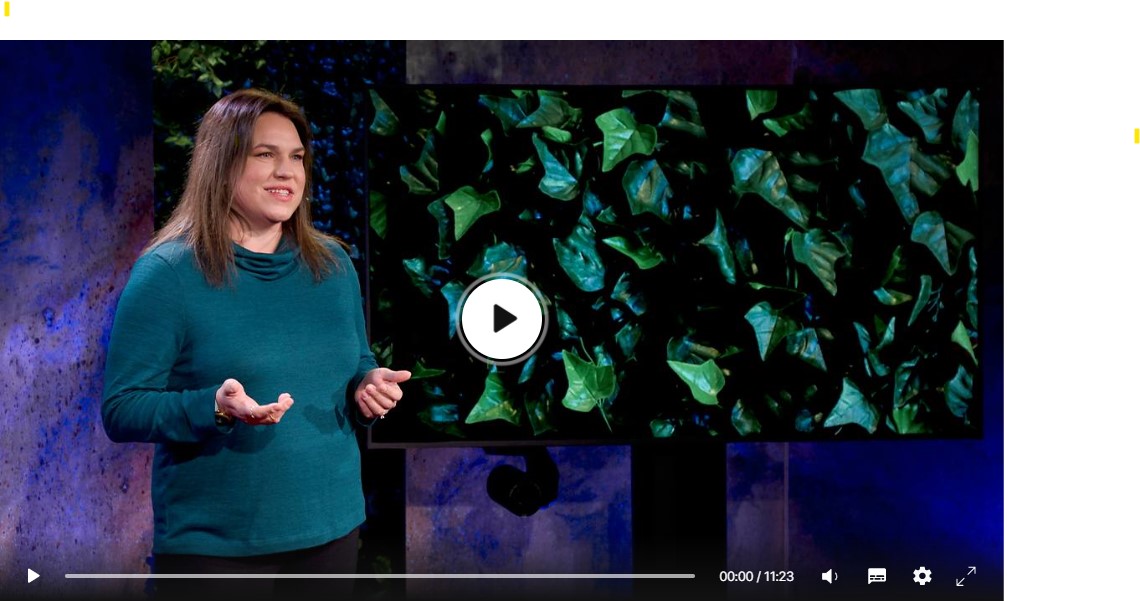 CSDE Staff Spotlight! 
Check out CSDE's own, Megan Alubicki-Flick deliver an outstanding TedTalk on the importance of multilingualism in education! 
Check it out! ted.com/talks/megan_al…