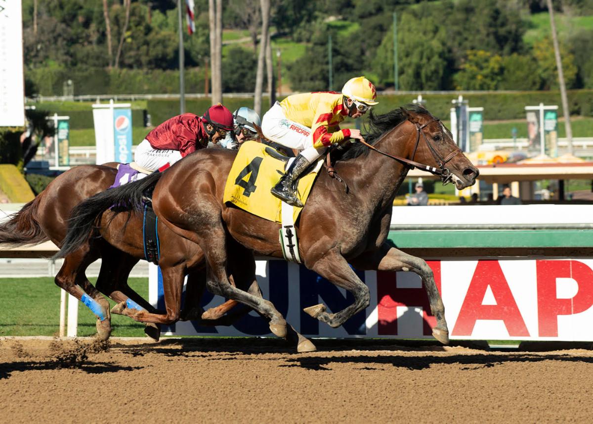 Gate_To_Wire's tweet photo. https://t.co/uSrnMD1w4B
RACE ALERT! Don't miss the action
https://t.co/79XXXXO0Io https://t.co/WxrIHPiSgd