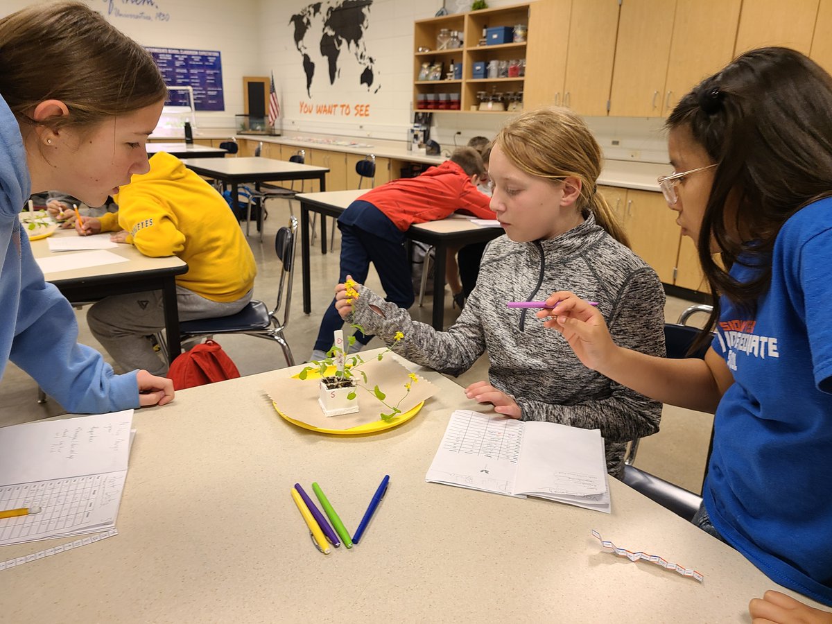 Sioux Center CSD (Kinsey and Intermediate) tweet media