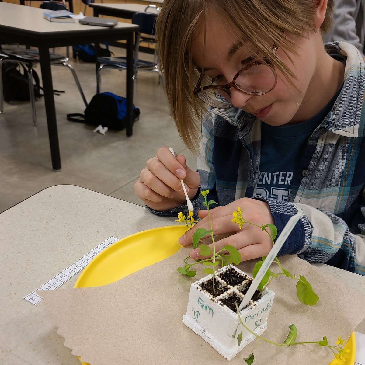 Sioux Center CSD (Kinsey and Intermediate) tweet media