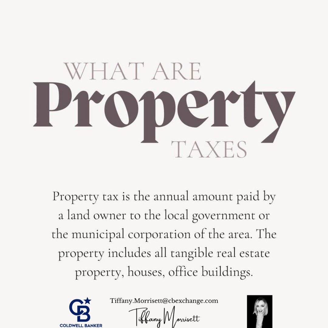 What are property taxes?