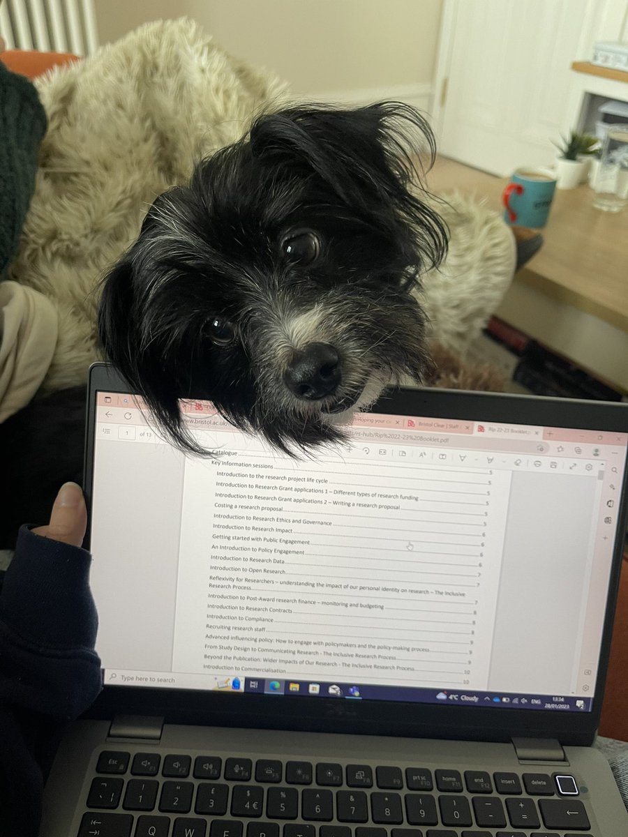 Pilar R. de Lamo tweet media