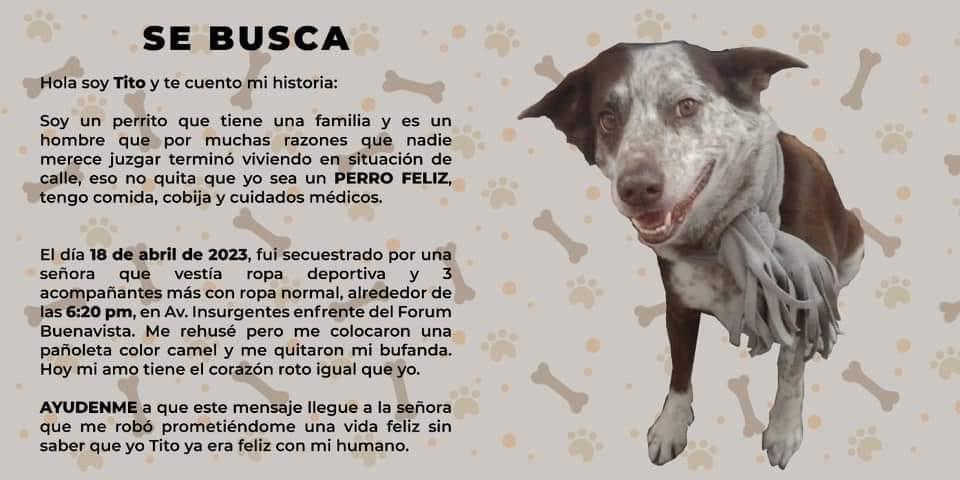 AMELIATABARES4's tweet photo. RT @IlyanNukar: @FundacionToby ayuda este nene fue robado y nos consta que vivía felíz en la calle con su mejor amigo por favor difusión total fue afuera del @OXXO_Escucha Buenavista ayúdenos con los videos @SandraCuevas_ @C5_CDMX @PrrosPerdidosMX @Masco… https://t.co/nqVb0qlzOF