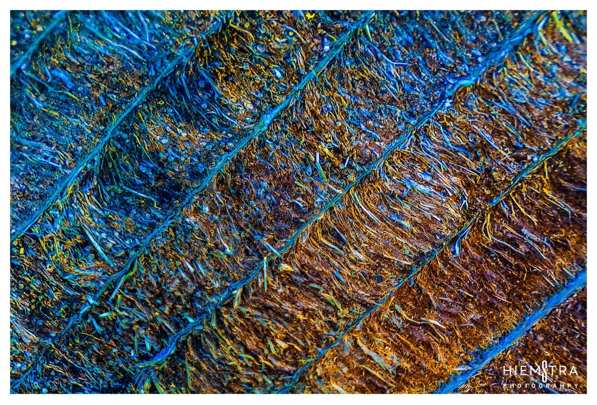 hiemstraphoto's tweet photo. Goedemorgen / Goodmorning: Abstractart
#abstractart #abstract #abstraktekunst #abstractphotography #abstractexpressionism #abstractblue #abstractart #abstraktekunst https://t.co/WVS6F6Xgab