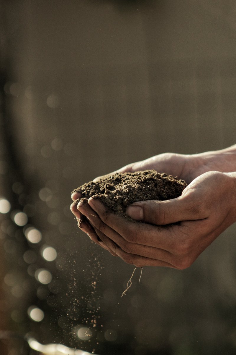 AirSoilWater's tweet photo. Today, we're reminded of the importance of environmental protection. Our Air, Soil and Water Research journal is committed to publishing the latest research on sustainable solutions to preserve our natural resources.  🌍 #ASWjournal #environmentalprotection https://t.co/6kMHYgwcQU