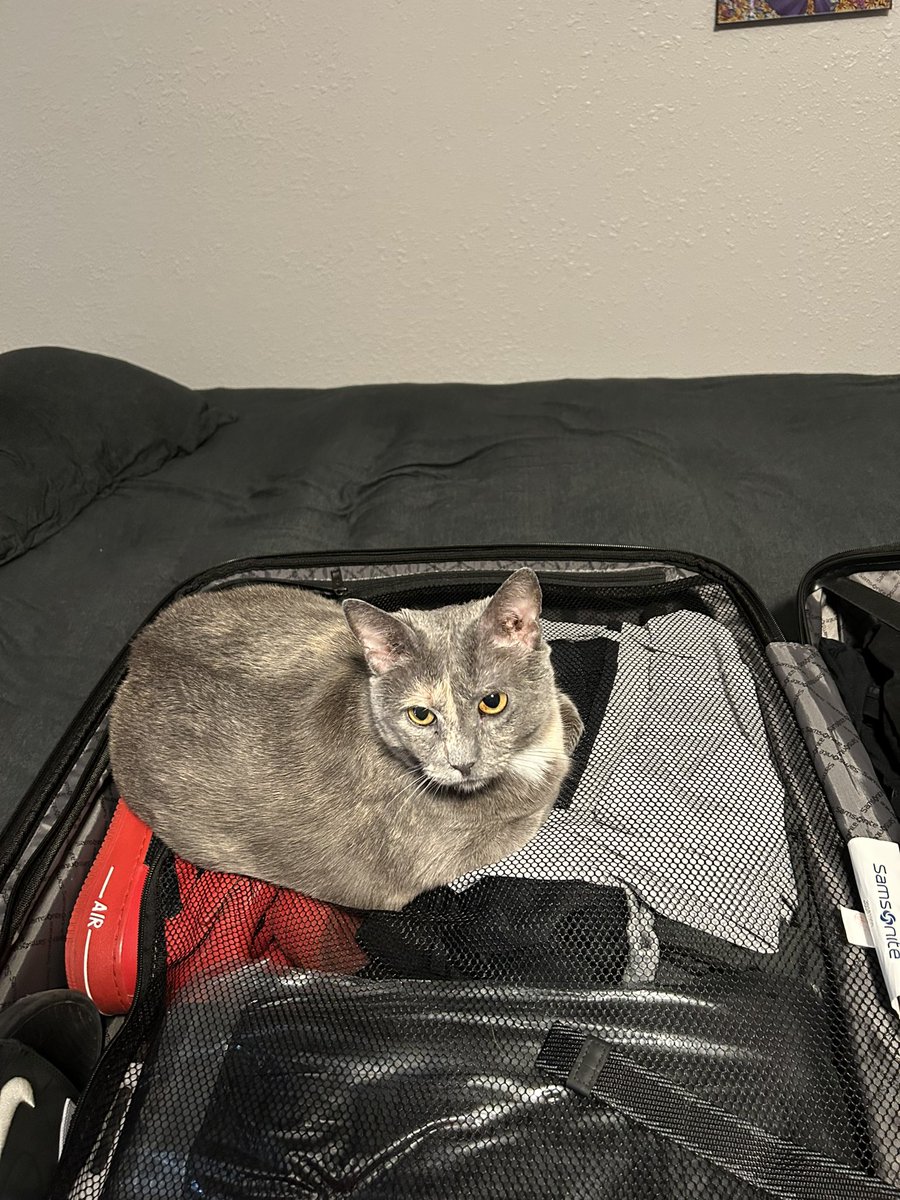 Liquid PurdyKurty tweet media