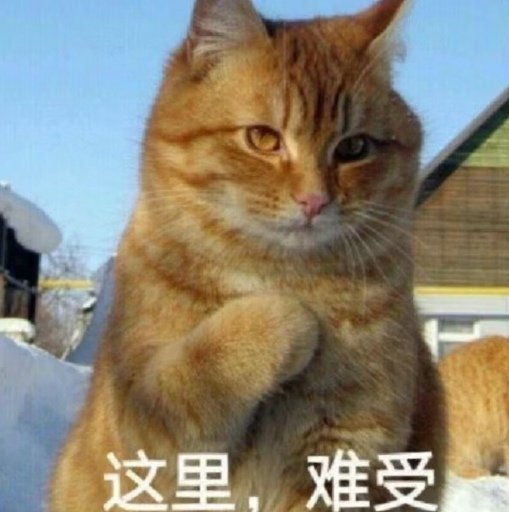 Hurryryry's tweet photo. 涩也不彻底，纯也不彻底，这大概也是我谈不到恋爱的原因吧 https://t.co/VwXEitN86u