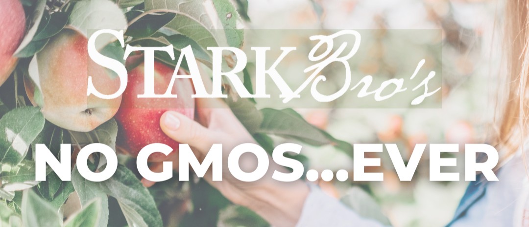 starkbros's tweet photo. We carry a selection of USDA-certified organic plants & products - and ALL of Stark Bro's trees & plants are non-GMO.
🌎 Shop all of our Organic plants and Growing Supplies Here: https://t.co/P3KXXSvqwR
#organic #nongmo #organicplants #organicfruittrees #earthfriendly https://t.co/Lzm3rediRq