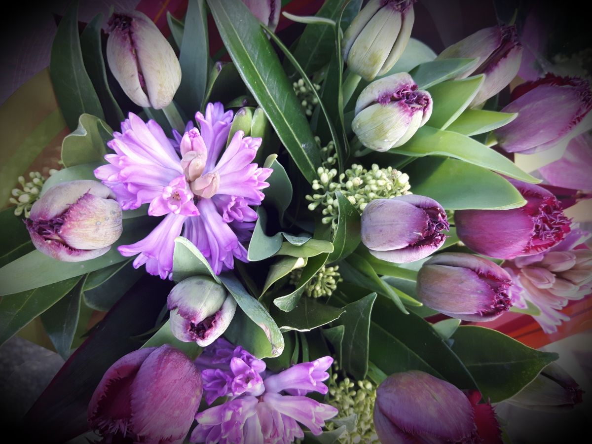 Shop Early for Administrative Professional's Week - April 24-28 - mailchi.mp/plushfloralstu…