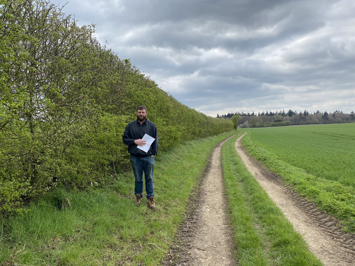 Nick Marriner tweet media