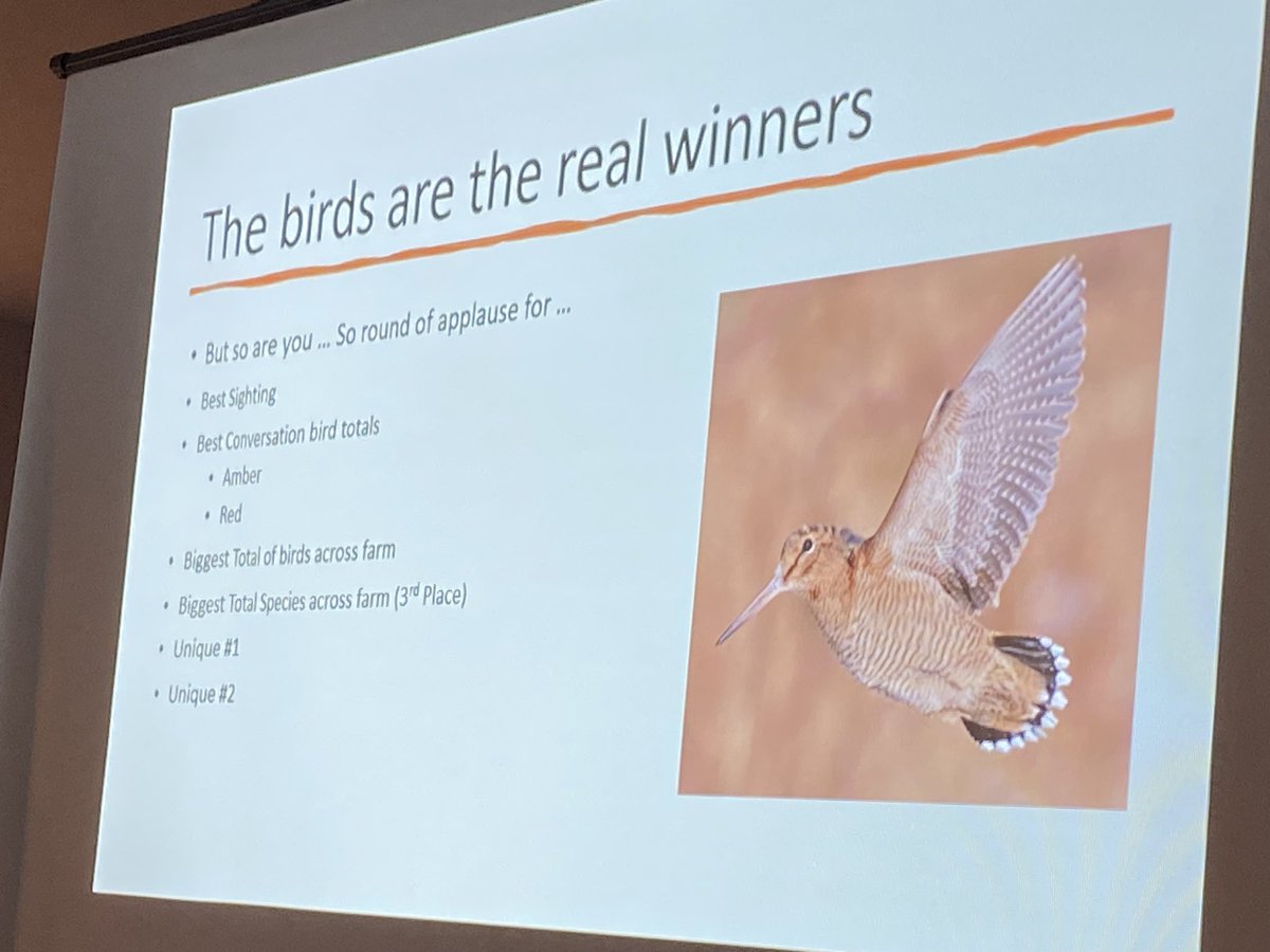 Nick Marriner tweet media