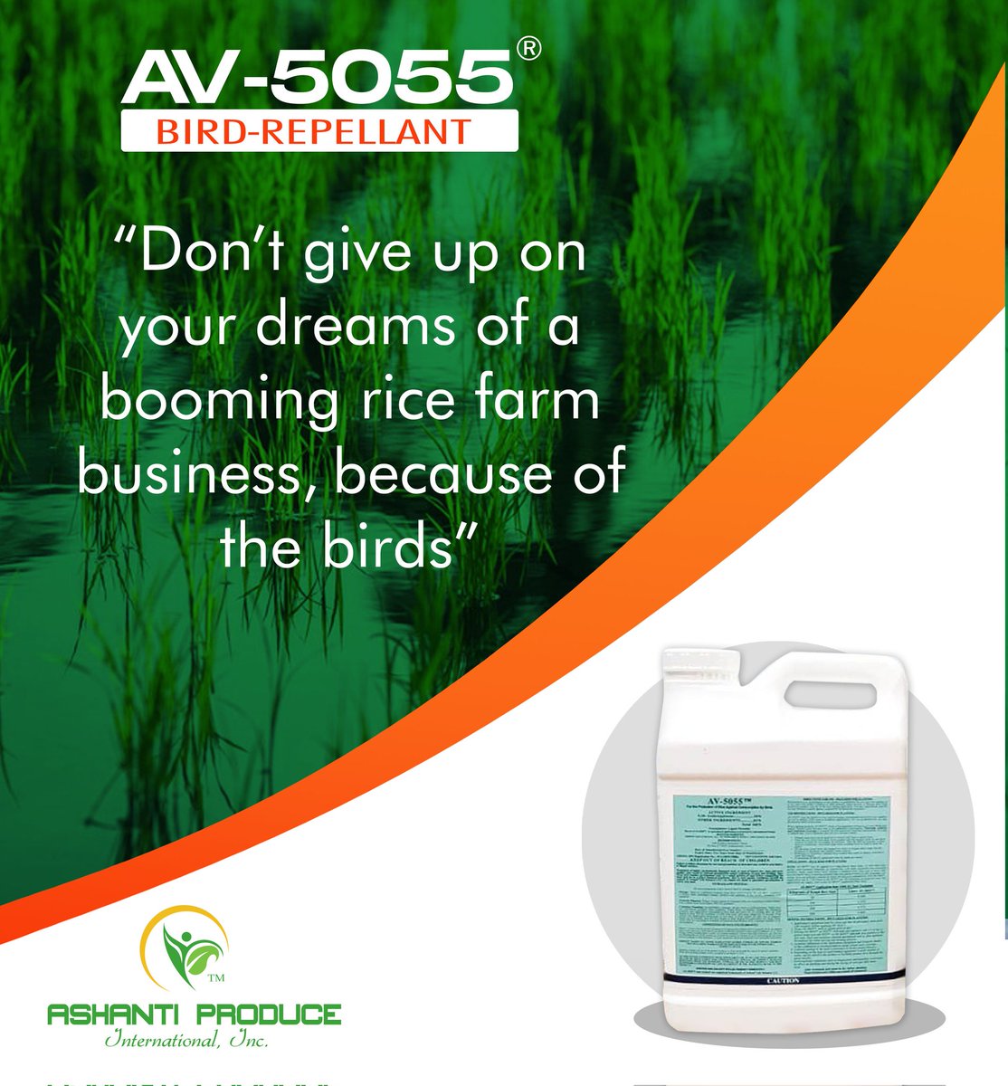 AV5055Ghana's tweet photo. Why throw in the towel when the solution is near you. Try the AV-5055 the "Rice farmer's friend"

#Agroinput #av5055 #ricefarming #agriculture #onsale #africa #riceproduction https://t.co/7n0Q9ZT0hU
