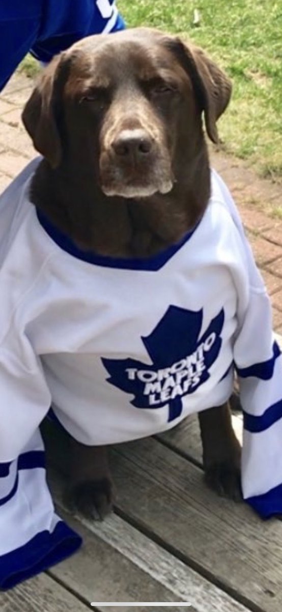 JensenAlexie's tweet photo. @TheFordFANatic @MapleLeafs I’m looking forward to the love and crazy energy that the Leafs Fans bring!!! @TheFordFANatic does an un-be-LEAF -able job bringing the Leafs Nation together!!!  GO LEAFS GO!!! 💙💙💙 @kyliecirocco @BetinaBrens https://t.co/qSsISeJtmS
