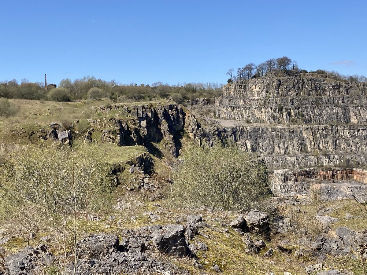Our walk took us past abandoned quarry workings. We saw orange tip butterflies (that eluded my camera). Bizarrely I could also hear a peacock calling - their cries quite unmistakable. The engine house at Middleton Top is visible on the horizon. #Wirksworth #Derbyshire