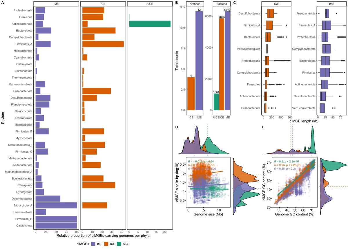 João Botelho (@joaoftsbotelho) on Twitter photo MGEs such as plasmids and phages are well-known for their role in bacterial evolution, but did you know that ICEs and IMEs are also prevalent across bacteria? Despite their prevalence, these MGEs are often overlooked. Happy to see this work in <a href="/NAR_Open/">Nucleic Acids Res</a>!
academic.oup.com/nar/advance-ar… MGEs such as plasmids and phages are well-known for their role in bacterial evolution, but did you know that ICEs and IMEs are also prevalent across bacteria? Despite their prevalence, these MGEs are often overlooked. Happy to see this work in <a href="/NAR_Open/">Nucleic Acids Res</a>!
academic.oup.com/nar/advance-ar…