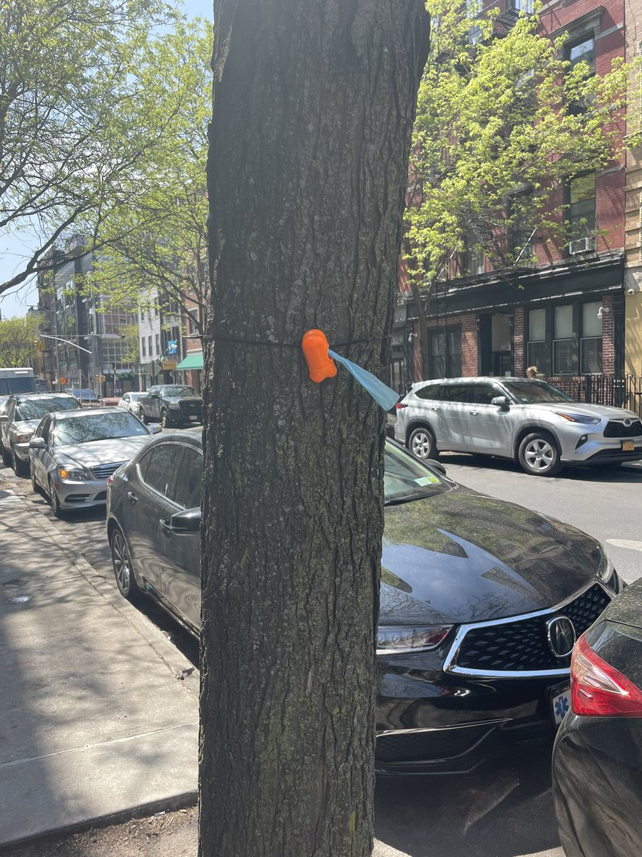 Sarah Dougherty tweet media