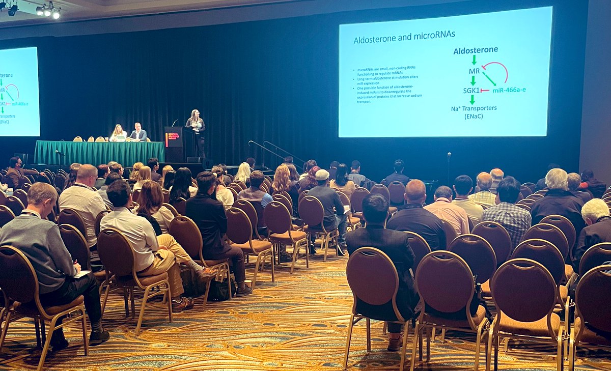 MMansley's tweet photo. Second session of the @APSETG pre-meeting of the American Physiology Summit 2023 is underway.. A really high standard of talks from trainees and ECRs and some really interesting data! #APS2023 https://t.co/AYiHlbBrmn