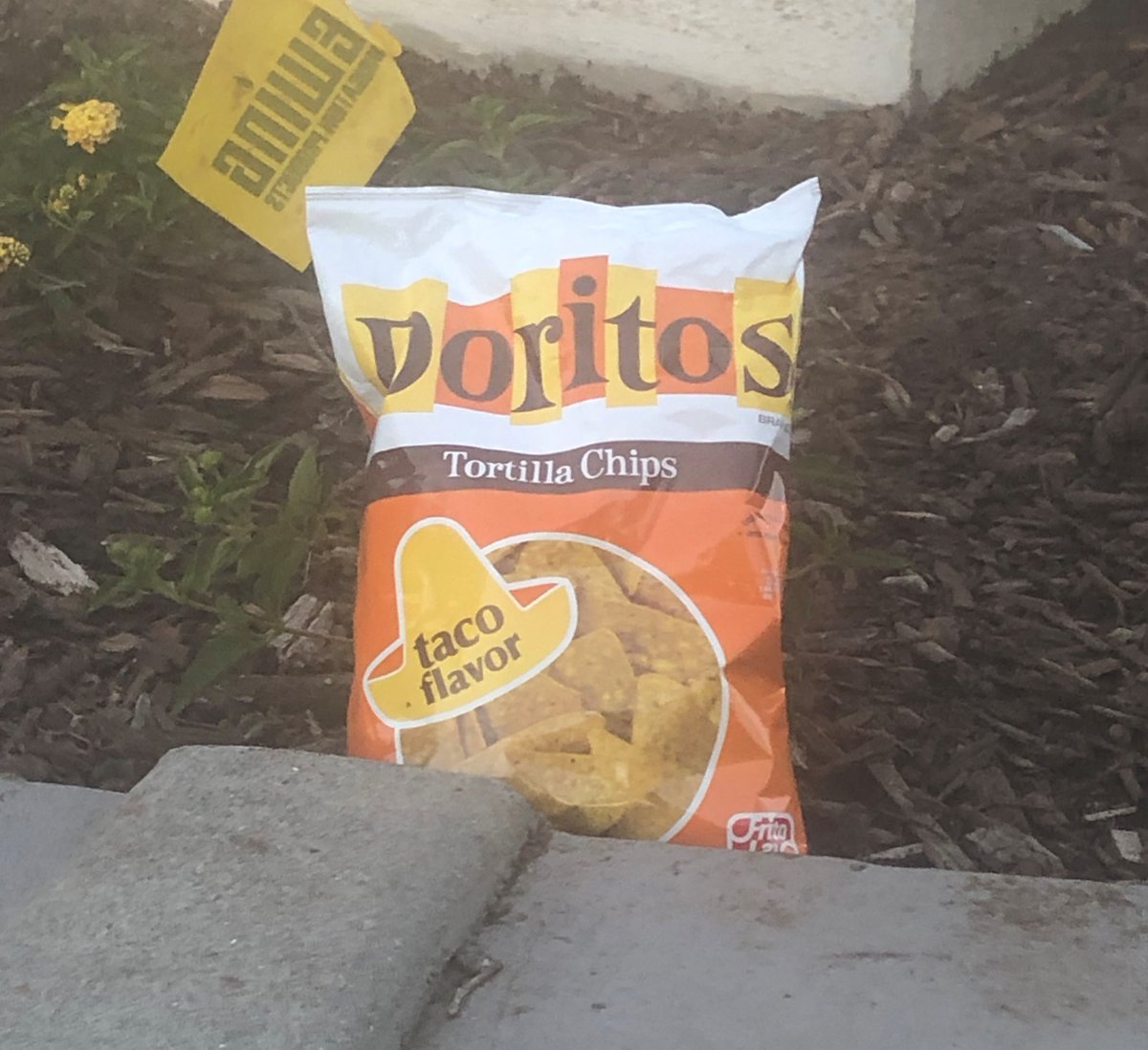 F3_The_City's tweet photo. Alright, alright, alright! Today at “Mulva?” 5 buds, I mean PAX, were left dazed &amp; confused after a not-unmellow 4/20-inspired jam session, I mean beatdown. No time for coffeeteria after the requisite Doritoteria. 
Sorry you couldn't make it. It'd be a lot cooler if you did. https://t.co/O6vUQjFvFv