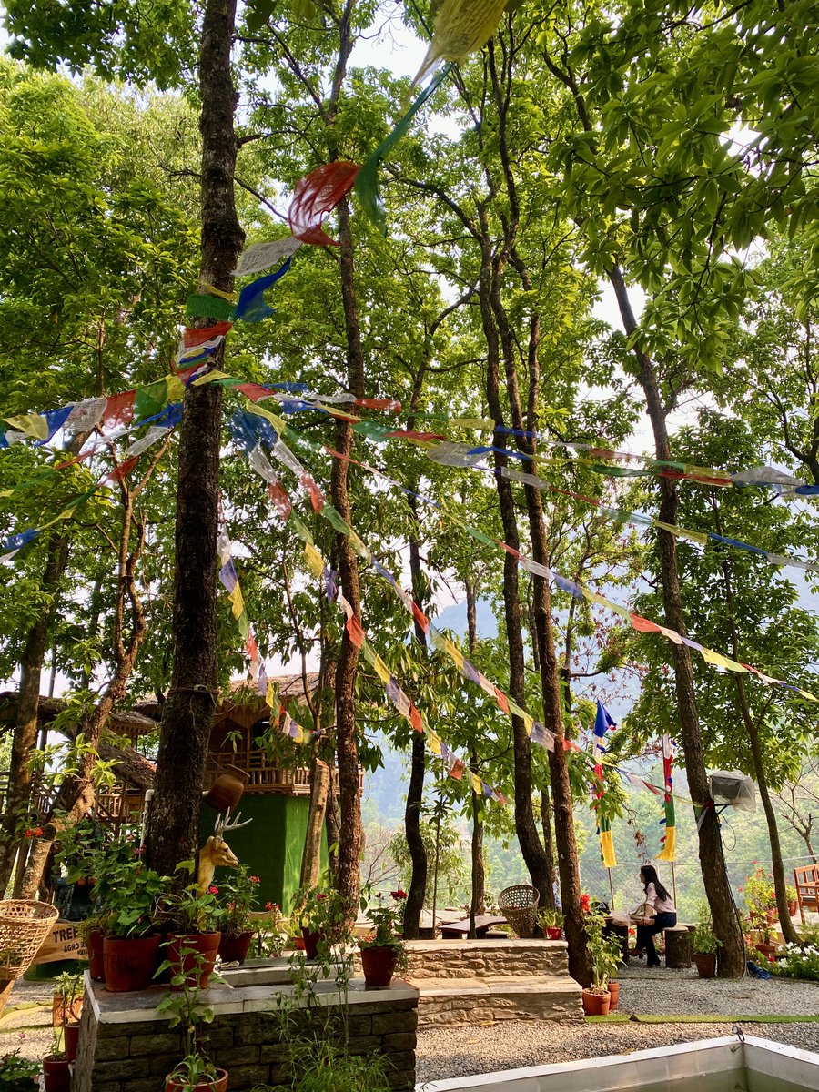 DrPrateekshya's tweet photo. Some places are just blissful in their own ways. Amidst all the chaos, this place serving the calm we all need. 
Why I love Pokhara ♥️ https://t.co/BpIydkofhN