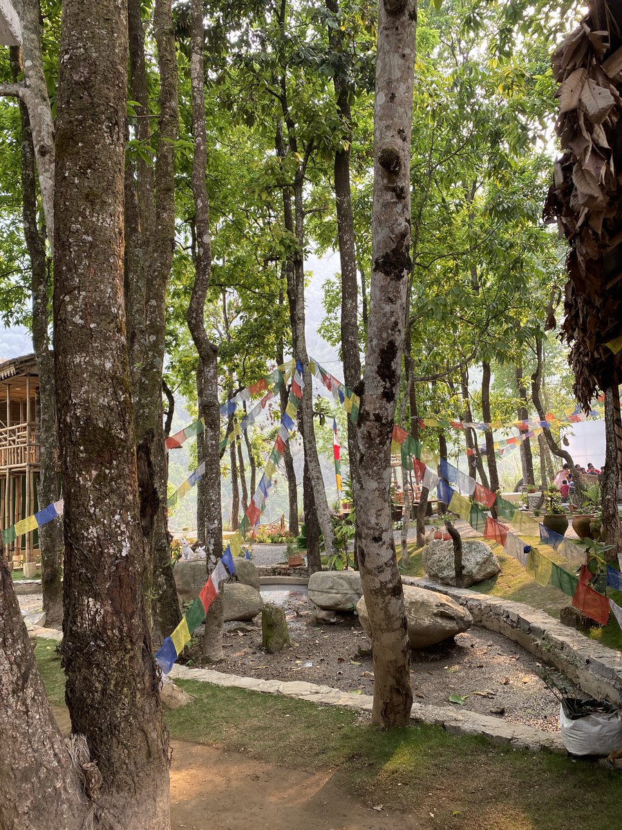 DrPrateekshya's tweet photo. Some places are just blissful in their own ways. Amidst all the chaos, this place serving the calm we all need. 
Why I love Pokhara ♥️ https://t.co/BpIydkofhN