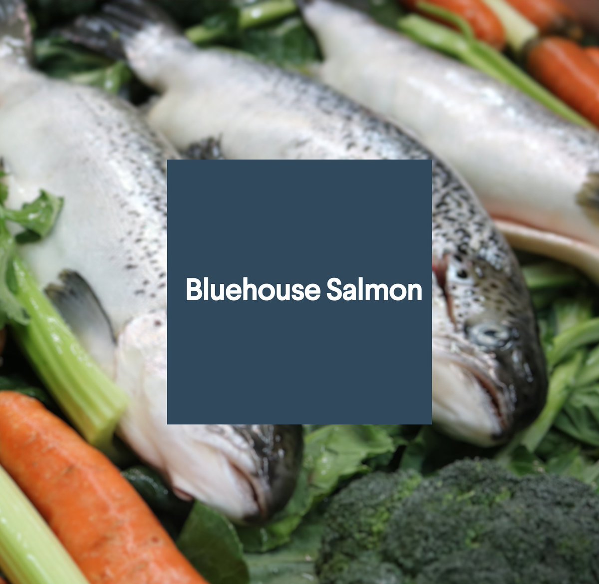 FarmFreshPet1's tweet photo. #madefreshtoday a batch of Salmon Yam’n. #freshsalmon straight from the amazing
#localfarms of @BluehouseSalmon 
Nothing but the best quality ingredients for our #furryfriends.
Order today at our website https://t.co/leMq5MqbaH https://t.co/g0PIodMbCu